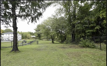 16 Blue Spruce Farm Road 1-2 Beds Apartment for Rent - Photo Gallery 5