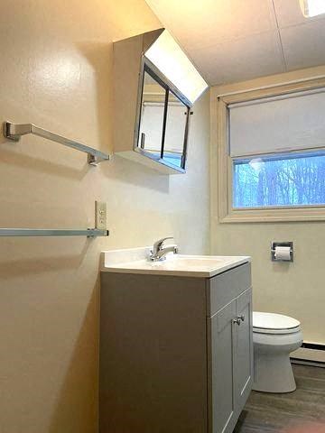 a bathroom with a sink and a toilet
