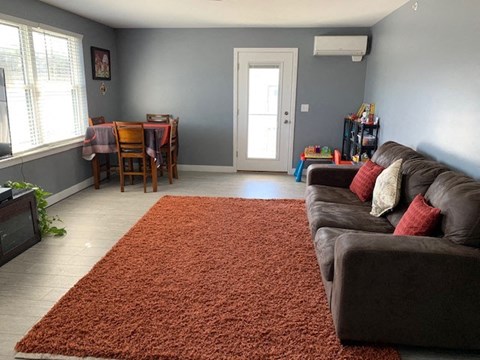A living room with a brown rug and a brown couch.