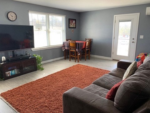 A living room with a brown couch and a red rug.