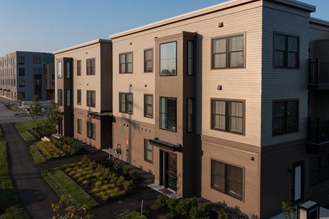 Golden hour glow—where light meets life.