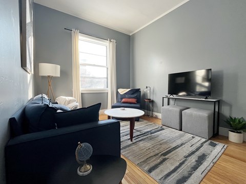 A living room with a dark blue sofa and a grey rug.
