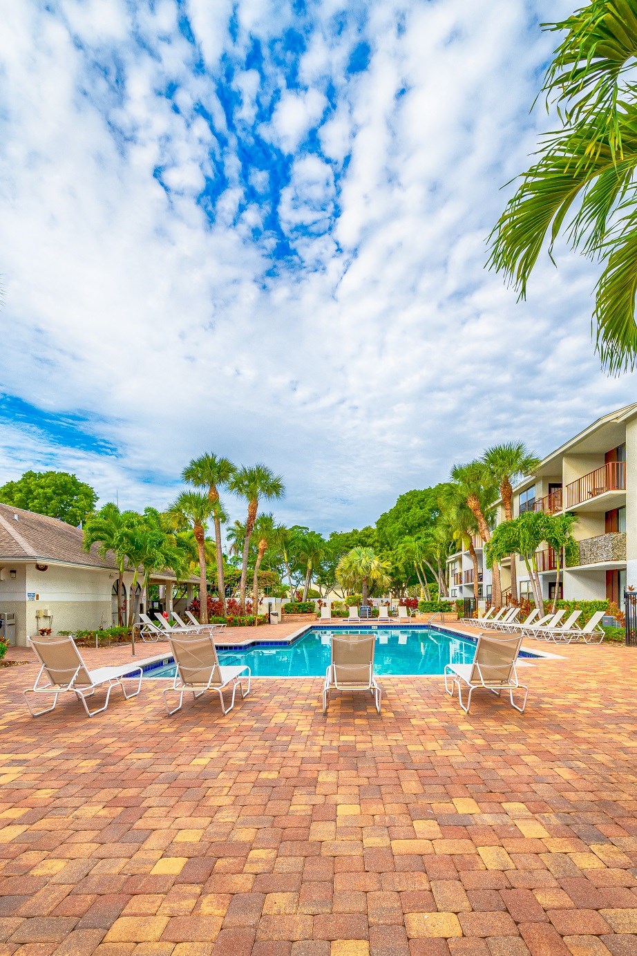 a large swimming pool with chairs and palm trees