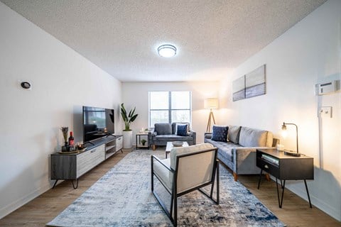 Living Room With TV  at Northlake Apartments, Florida, 32218