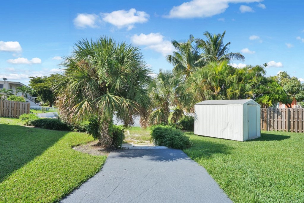a walkway through a grassy area with palm trees and a shed in the background