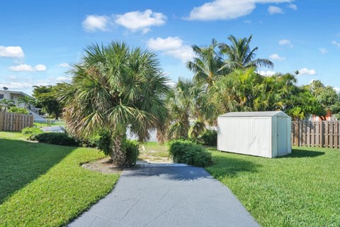 a walkway through a grassy area with palm trees and a shed in the background