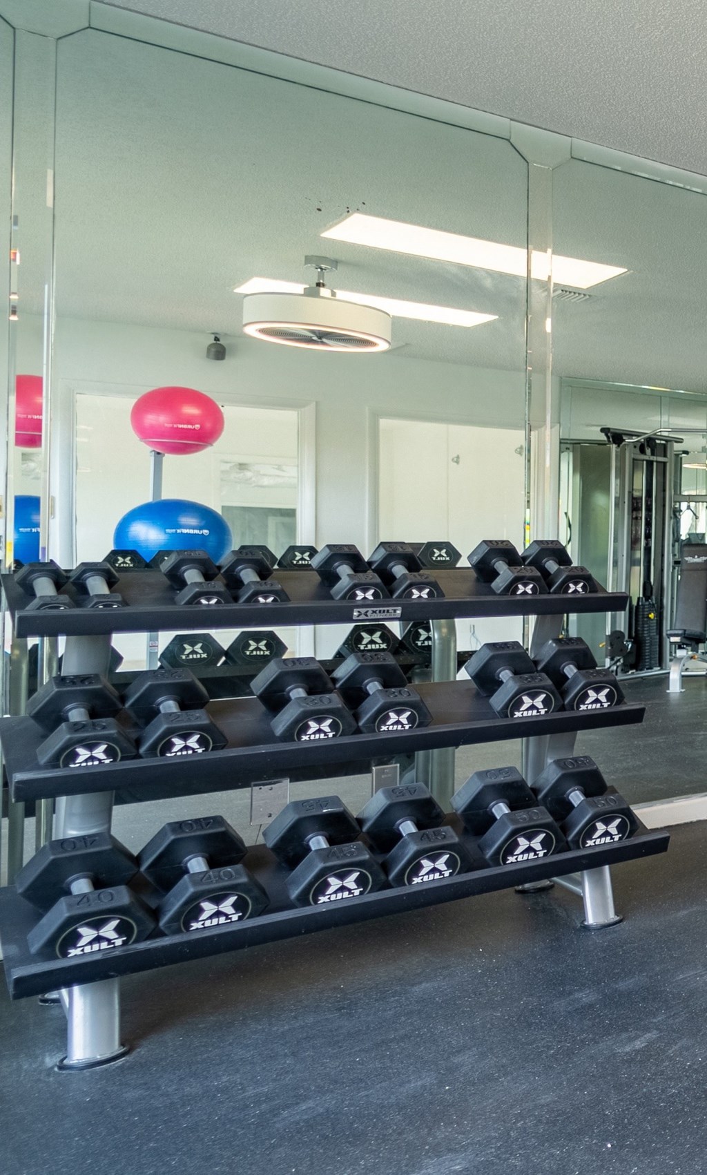 Free Weights at Red Bay Apartment Complex, Jacksonville, Florida
