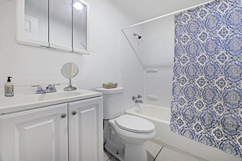 Bathroom at Golden Shores of Jacksonville Jacksonville, FL, 32211