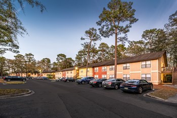 2445 Dunn Avenue 1-3 Beds Apartment for Rent - Photo Gallery 3