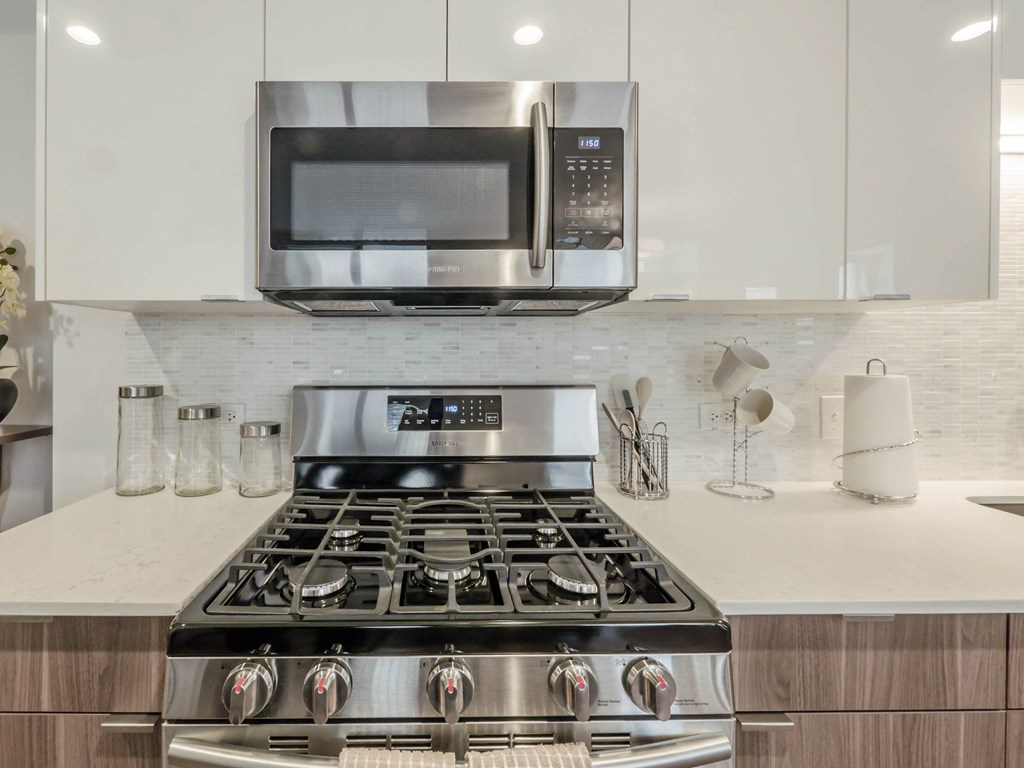 Modern appliances, gas range stove at Chateau on Wells, Chicago