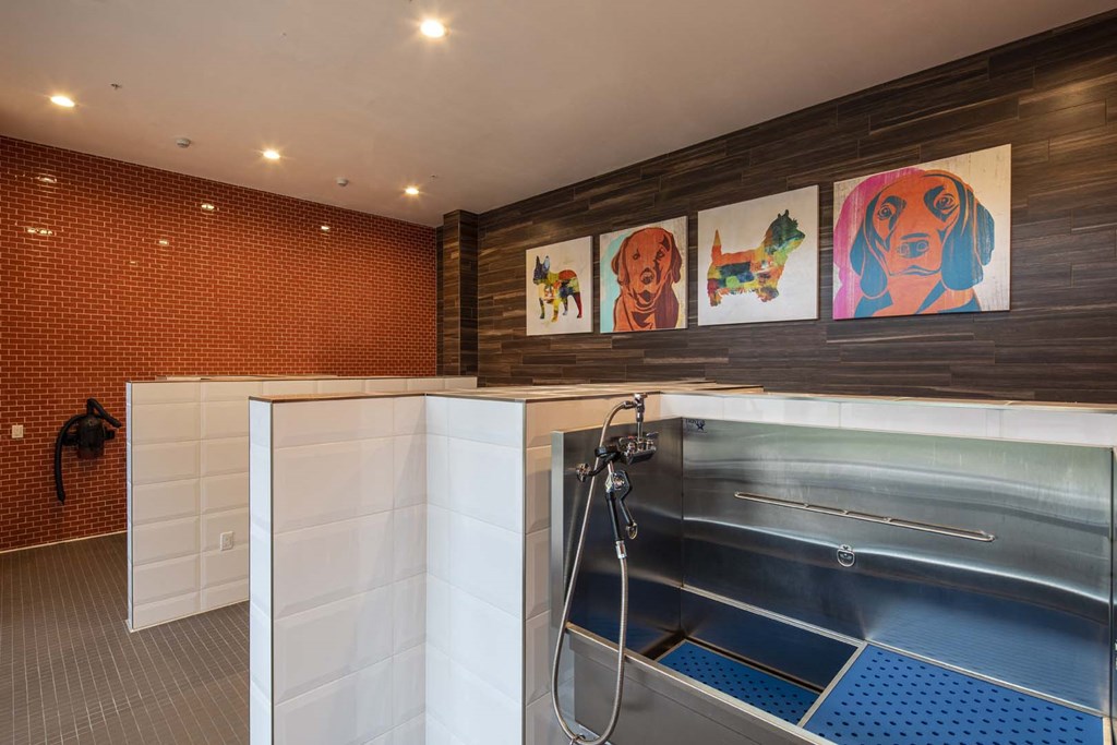 a wet room with a shower and a washer and dryer