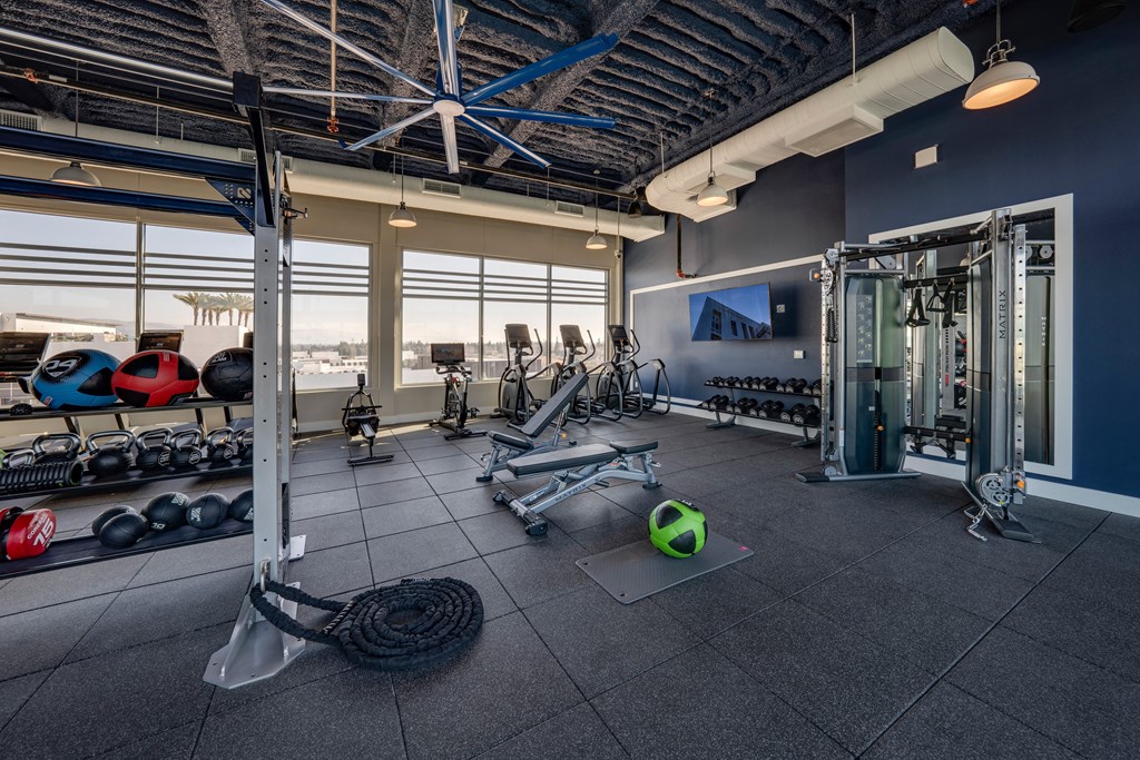 an image of a gym with weights and cardio equipment