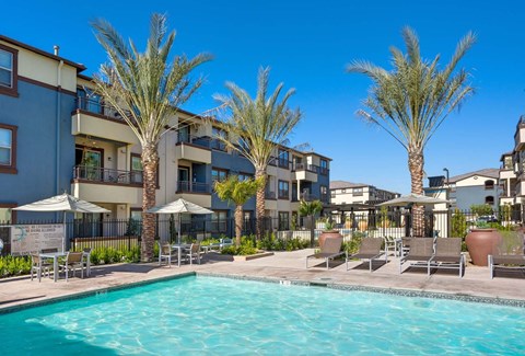 our apartments offer a swimming pool