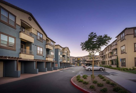 A tree stands in a courtyard between two apartment buildings.