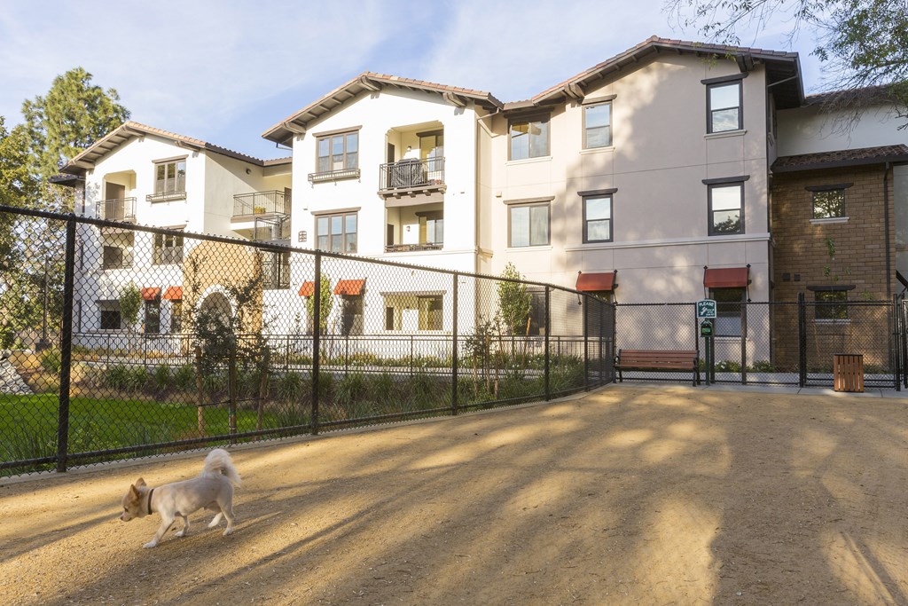 a dog running in front of an apartment complex