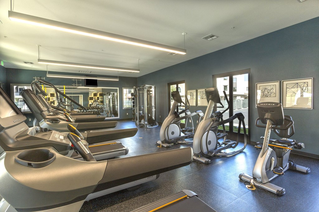 a gym with treadmills and ellipticals