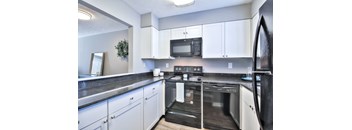 1 bed, 1 bath kitchen