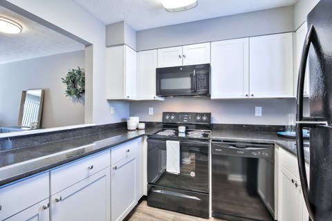 1 bed, 1 bath kitchen