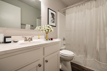 Courtyard Apartments - Interior Bathroom - Photo Gallery 11