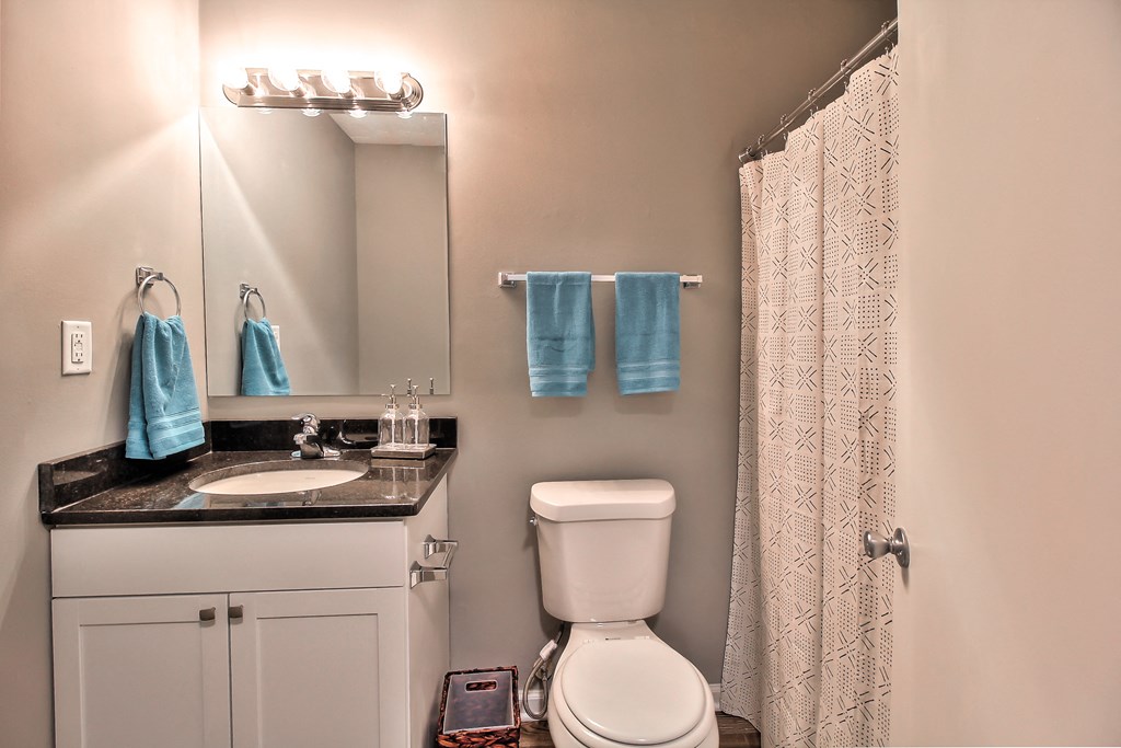 The Pops - Interior Bathroom