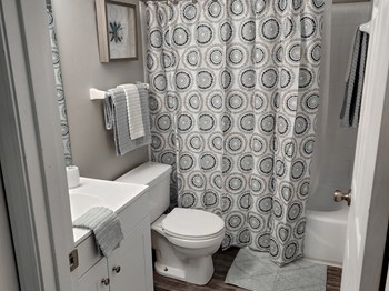 Tub and Shower Combo - Photo Gallery 10