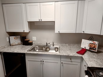 White Shaker Cabinetry - Photo Gallery 4