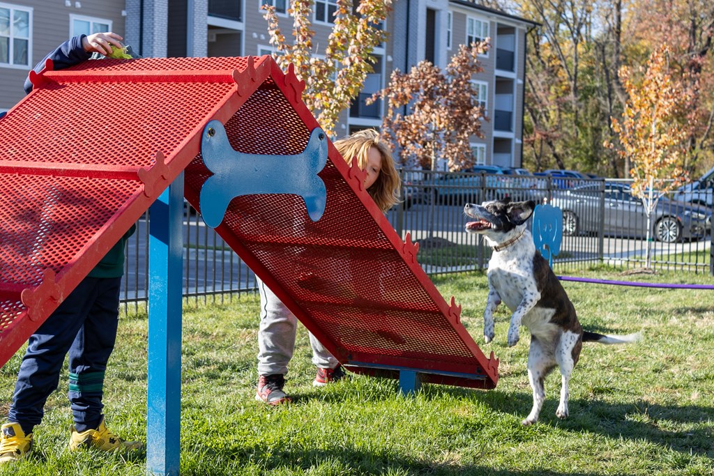 a girl and a dog playing under a picnic table at Arlington Farms, Greenwood Indiana
