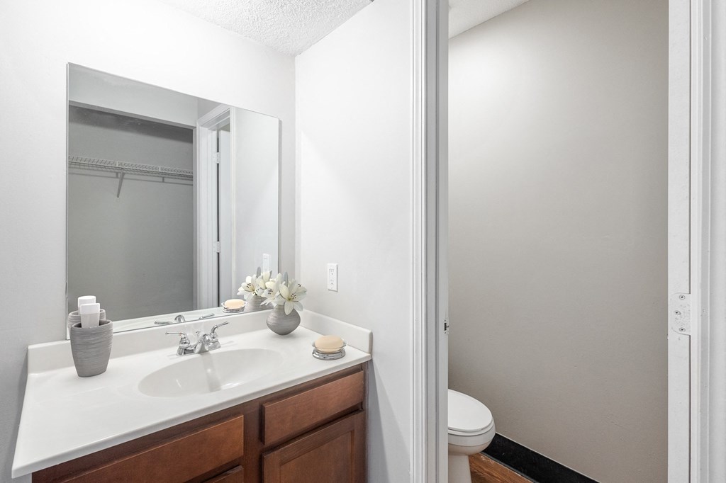 a bathroom with a sink and a mirror and a toilet