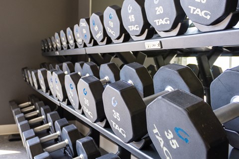 a collection of weights on a rack in a gym