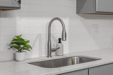 a kitchen sink with a silver faucet and a green plant
