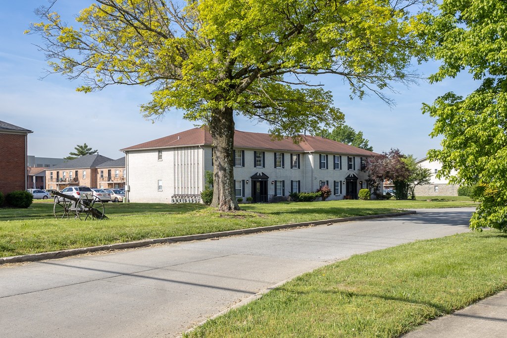 a large white house with a tree in front of it