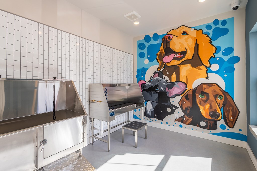 A dog-themed mural in a room with a metal table and bench for pet grooming at The Warren Apartments, Jeffersonville, IN
