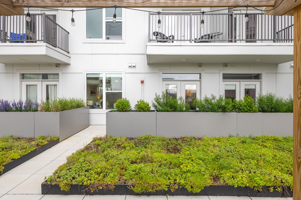 A white building with a green planter in front at Current812, Clarksville