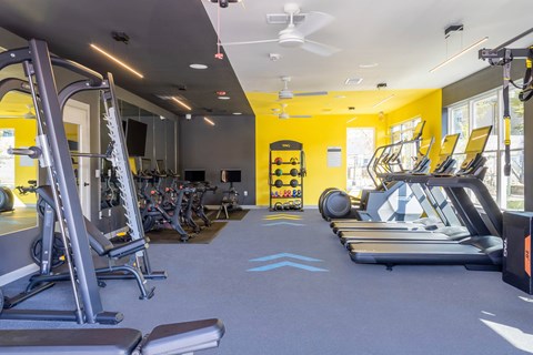 Fitness center with cardio and strength equipment at Viridian Apartments, Bowling Green, KY 42104