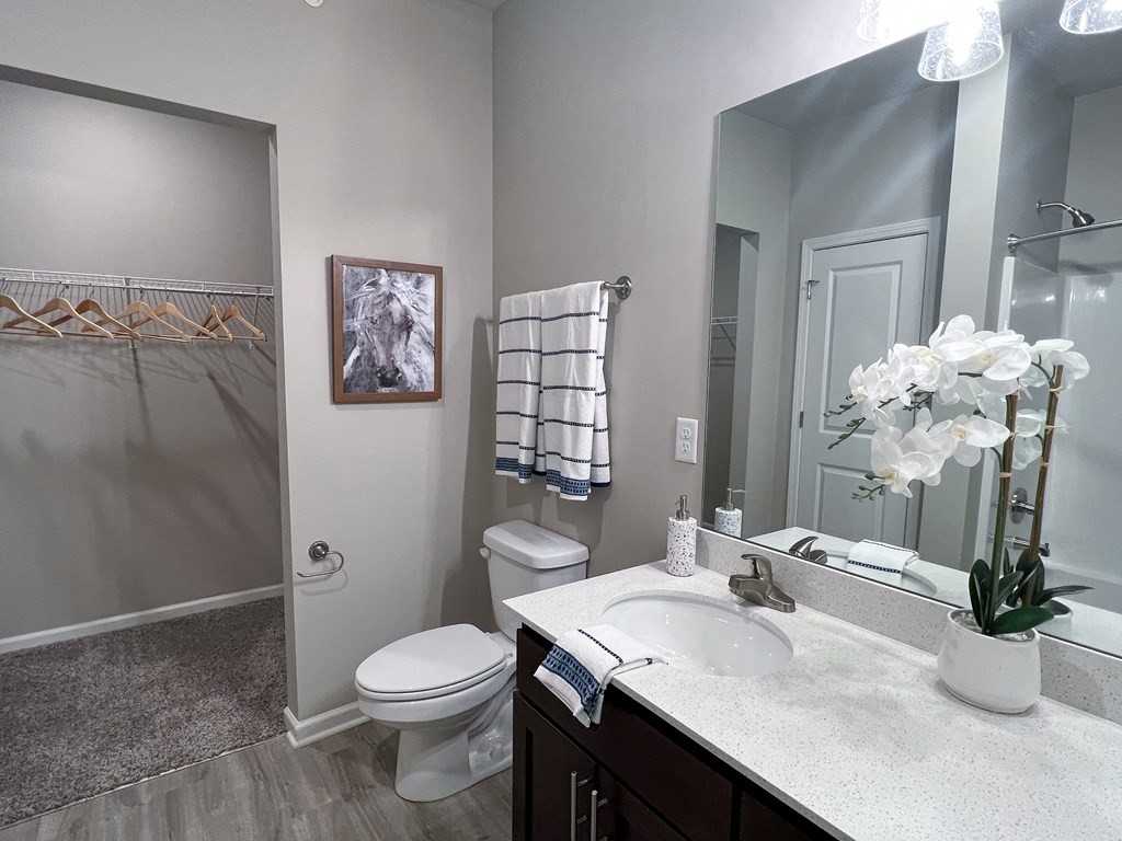 a bathroom with a sink and a toilet and a shower at Sage Springs, Elizabethtown