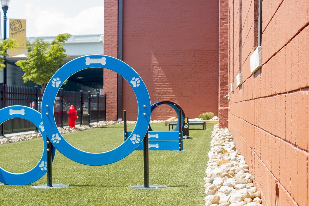 Grocers Ice Lofts - Exterior Dog Park