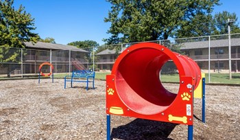 Dog Park - Exterior - Photo Gallery 8