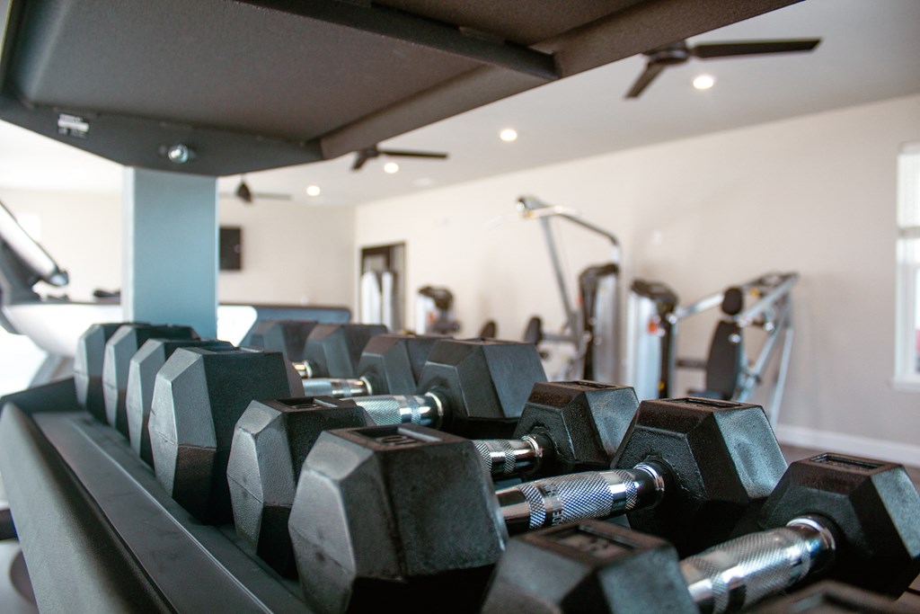 a row of dumbbells in a gym at Arlington Farms, Greenwood, IN