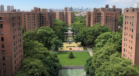 2156 Madison Ave 1-3 Beds Apartment for Rent