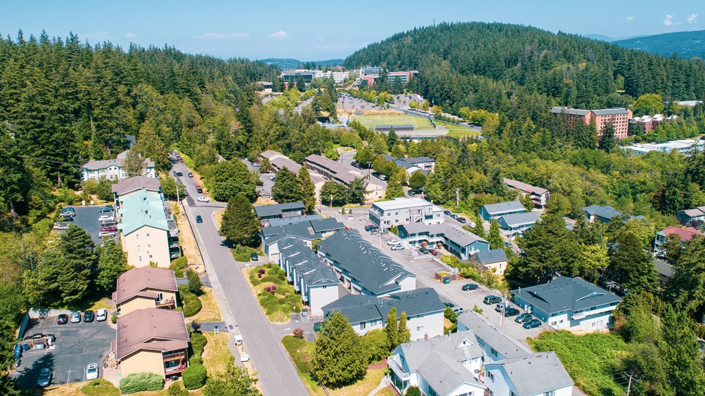an aerial view of a neighborhood with houses and trees