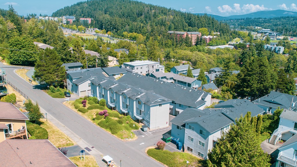 aerial view of a neighborhood of houses with trees and mountains in the background