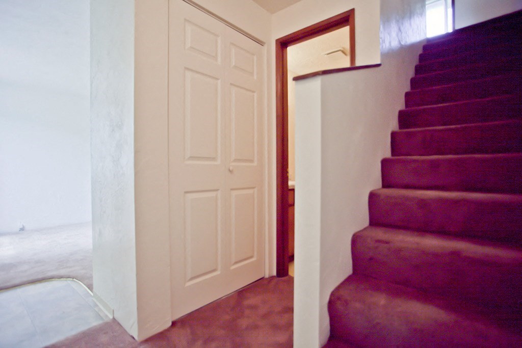 a red carpeted stairway with a white door and a staircase to a room