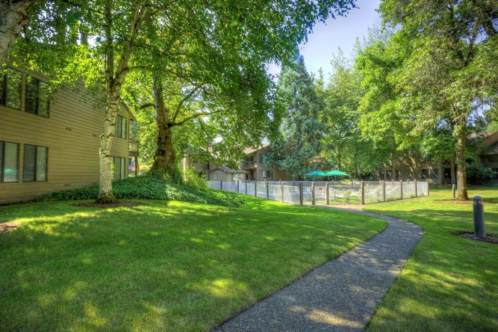 a walkway through a yard with trees and a fence
