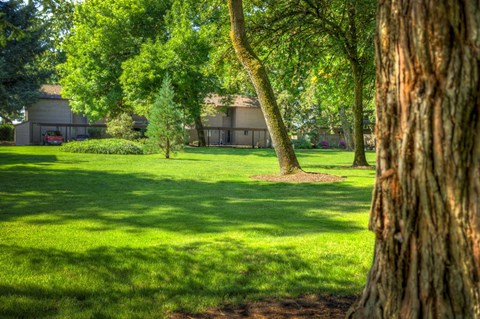 a yard with trees and a building in the background