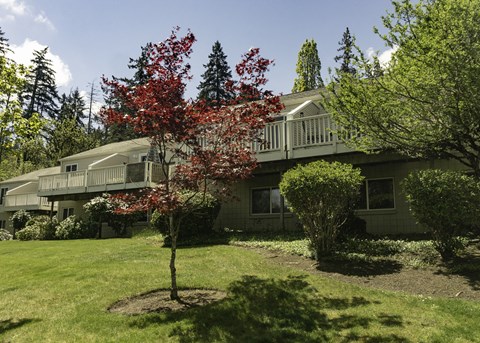 Mature Landscaping