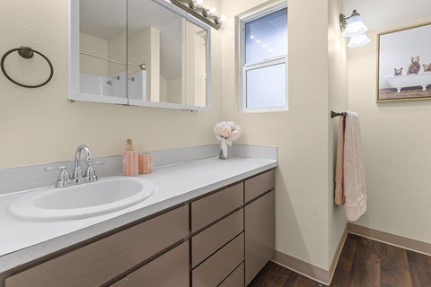A bathroom with a sink, mirror, and a window.