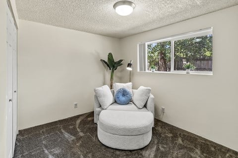 A living room with a white couch and a plant on the side table.