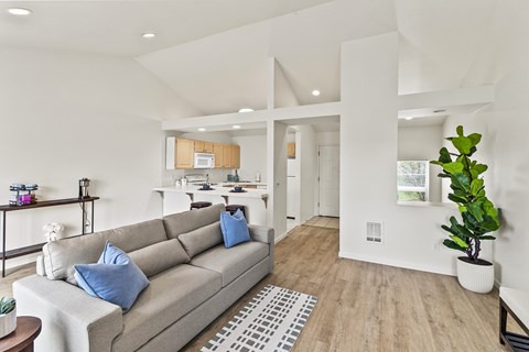 A living room with a grey couch and a white wall.