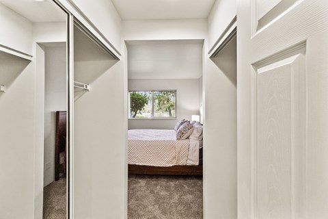 Large closets