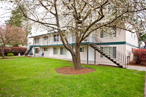 A tree in a grassy area in front of a building.